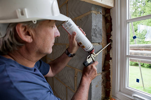 Best Insulation Installation Services in Apple Valley, MN
